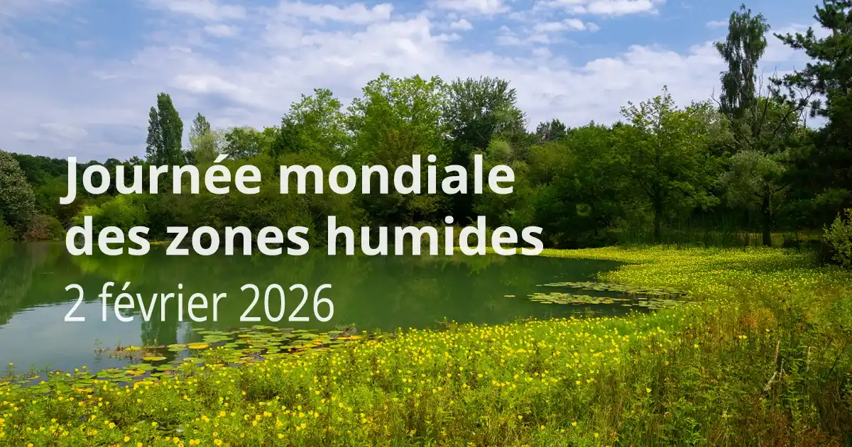 Journée mondiale des zones humides